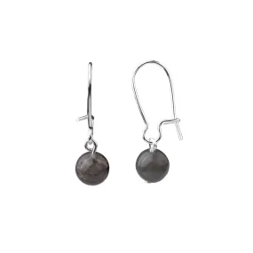 Earring | Kidney Wire - Small  | Labradorite